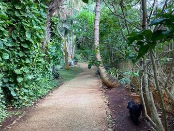 place photo 64
