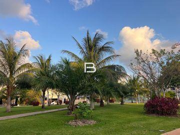 place photo 25