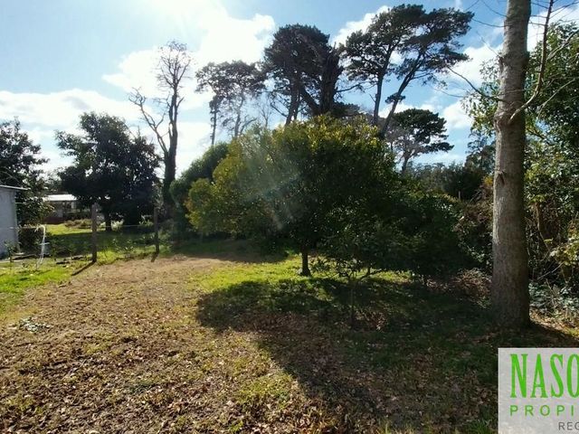 place photo 27