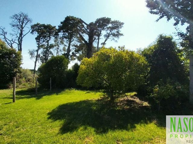 place photo 33