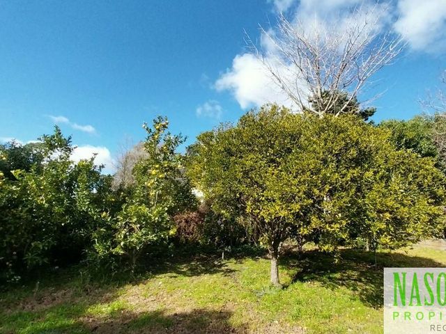 place photo 29