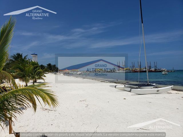 place photo 36