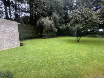 place photo 46