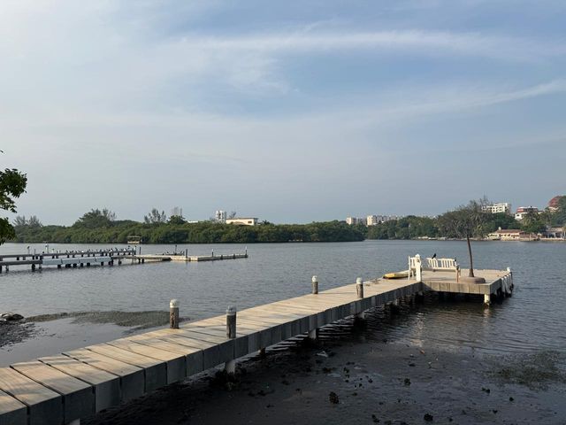 place photo 22