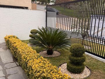 place photo 21