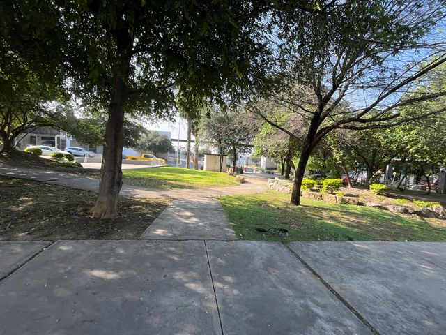 place photo 29