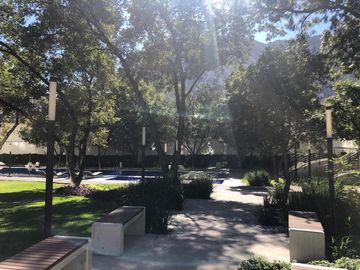 place photo 38
