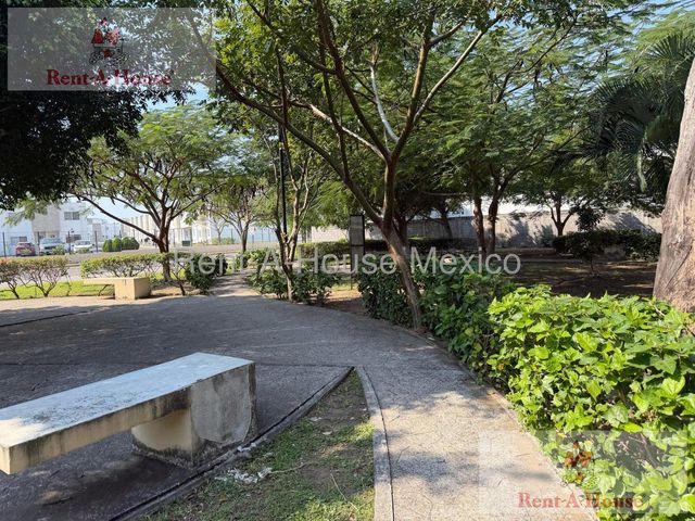 place photo 24