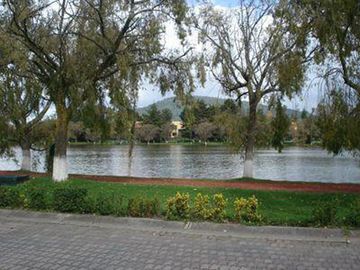 place photo 22