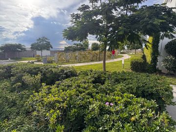 place photo 26