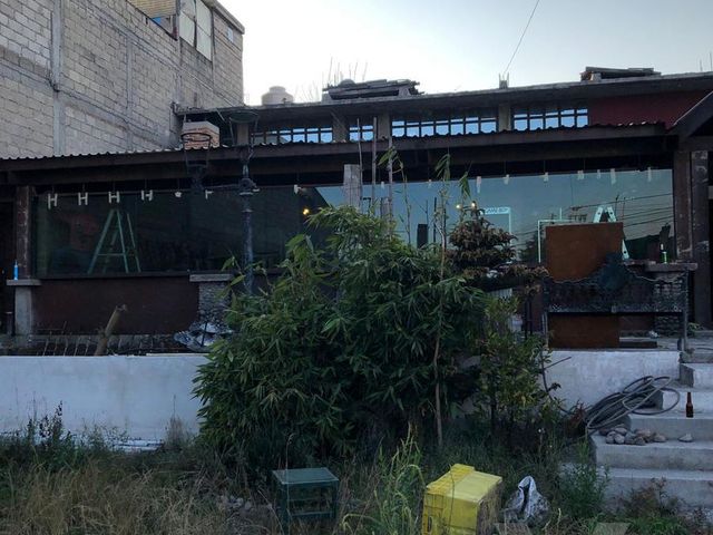 place photo 19