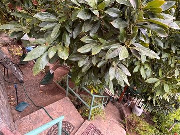 place photo 46