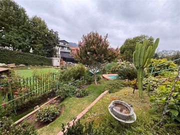place photo 40
