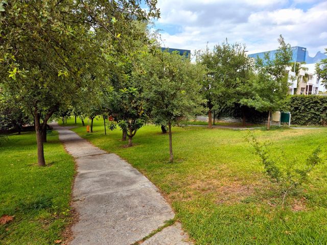 place photo 48