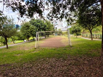place photo 44
