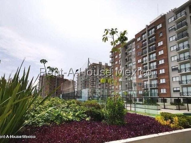 place photo 47