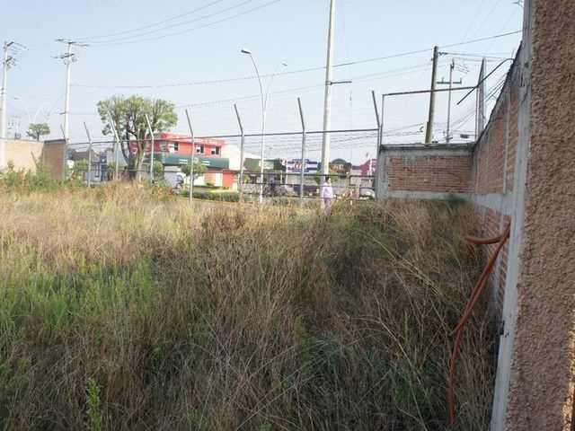 place photo 14