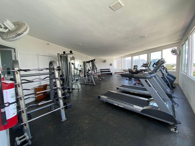place photo 36
