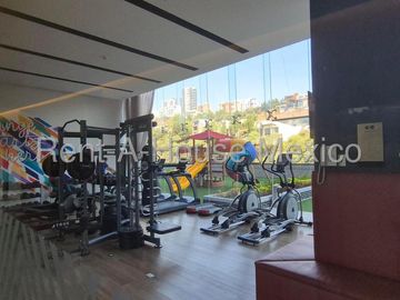 place photo 26