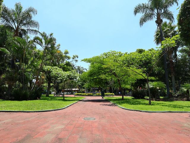 place photo 29