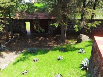 place photo 21