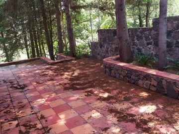 place photo 24
