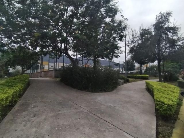 place photo 50