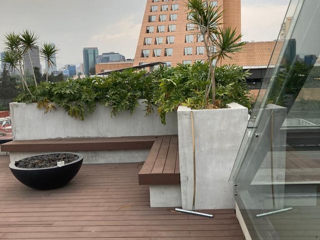 place photo 16