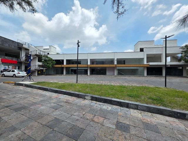 place photo 31