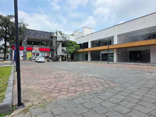 place photo 33