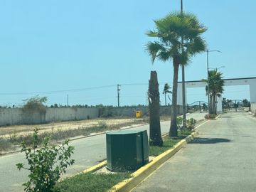 place photo 11