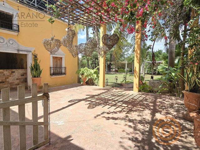 place photo 11