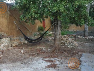 place photo 21