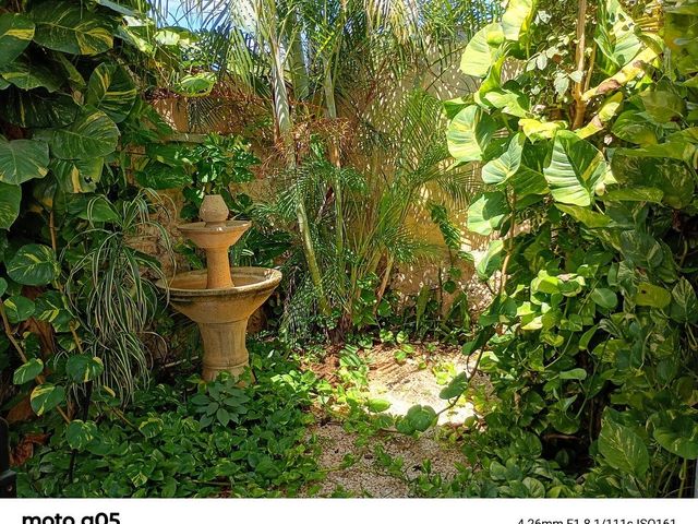 place photo 29