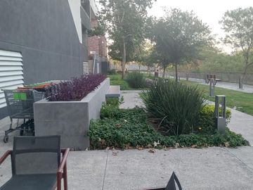 place photo 47