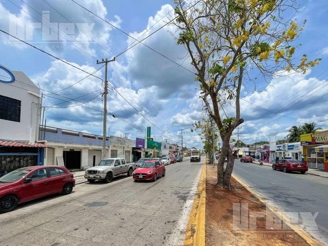 place photo 17