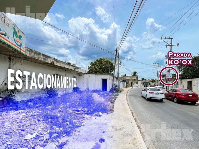 place photo 11