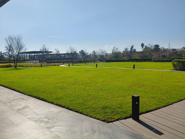 place photo 34