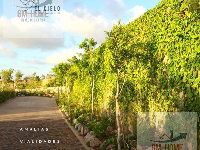 place photo 51