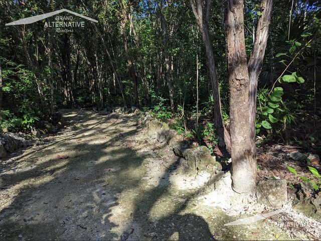 place photo 33