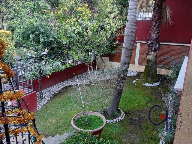 place photo 37