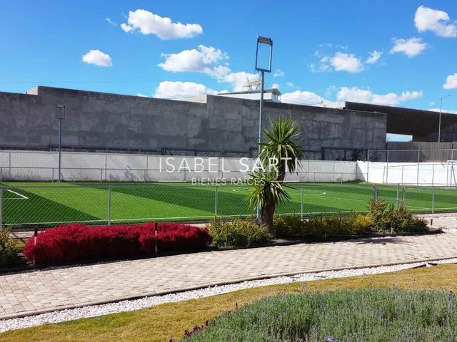 place photo 12