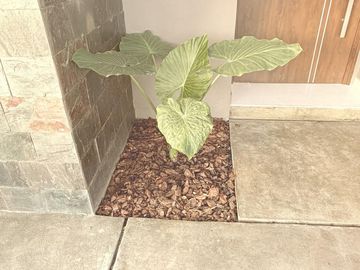 place photo 43