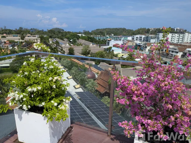 place photo 13