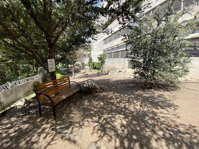 place photo 15