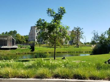 place photo 41