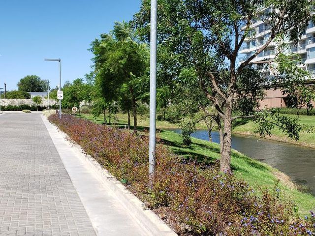 place photo 42