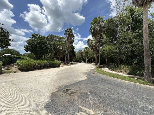 place photo 20