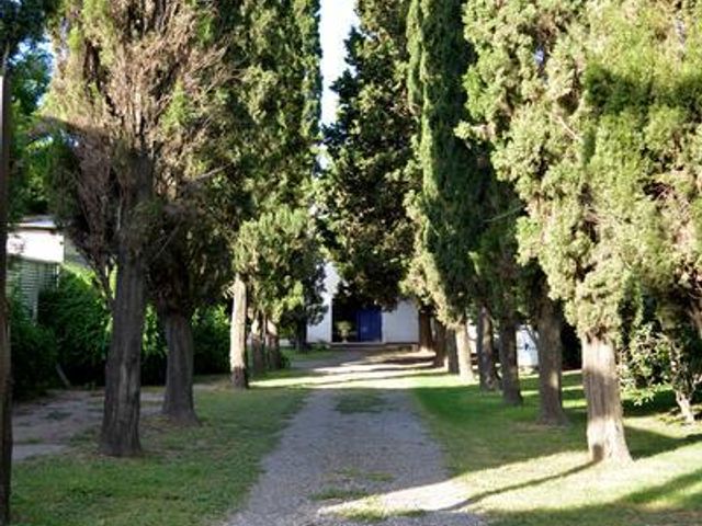 place photo 18