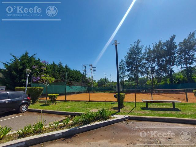 place photo 15